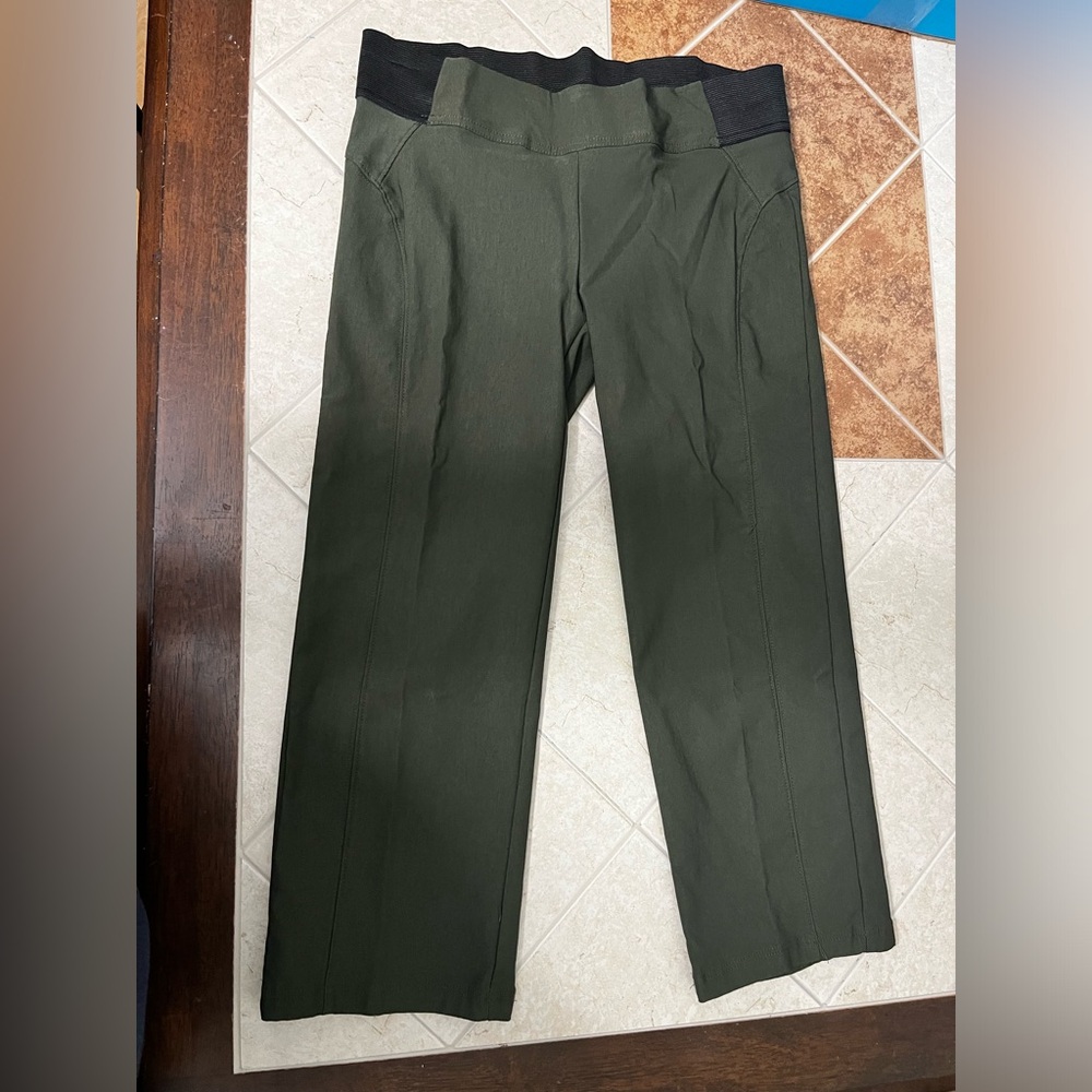 Dress pants